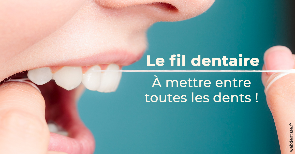 https://dr-julia-olivier.chirurgiens-dentistes.fr/Le fil dentaire 2