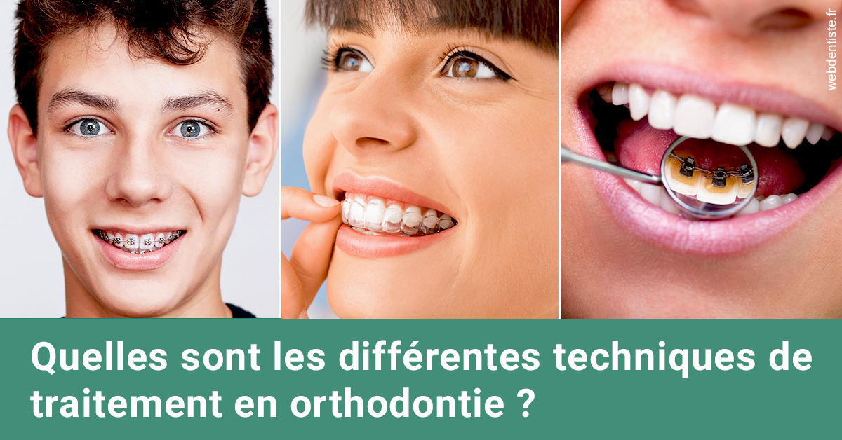 https://dr-julia-olivier.chirurgiens-dentistes.fr/Les différentes techniques de traitement 2